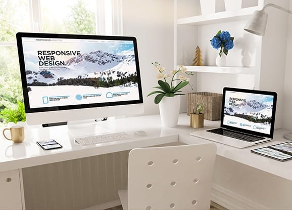 Website Design Development